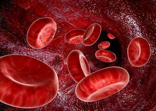 血液疾病改善——多睦健康日本血液净化