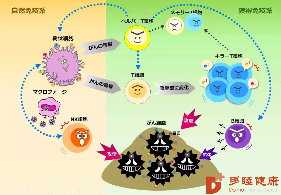 预防胃癌复发或转移的有效方法是什么