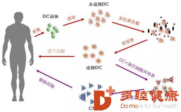 免疫疗法，结核病可以得到根治