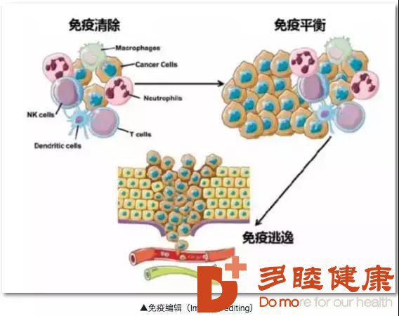 几分钟了解日本的免疫治疗