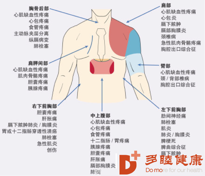 血液净化:心绞痛是哪里痛,有什么不为人知的秘密