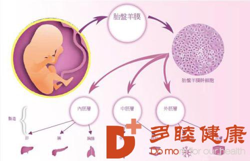 宫腔粘连的干细胞改善