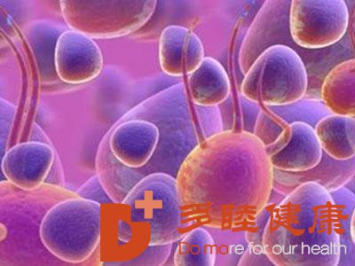 干细胞改善在肝病中的研究