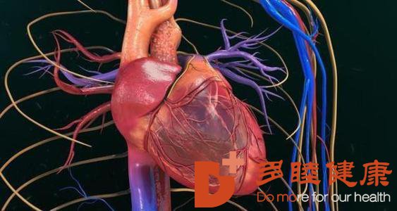 日本体检：造影检查注意事项有哪些?