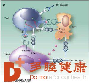 揭秘日本的免疫疗法到底是什么样的