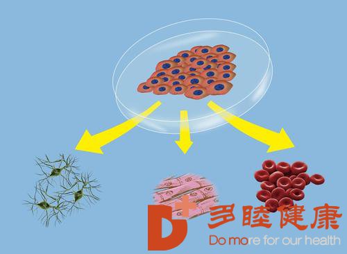 干细胞抗衰老案例：干细胞帮我找回了更好的精神状态！