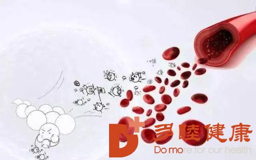 日本血液净化：干净的血液是身体健康的基础