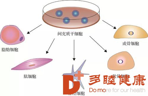 日本干细胞：间充质干细胞移植改善慢性失眠效果显著