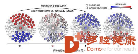 肝癌术后复发率达70%，预防复发和转移应该如何做？