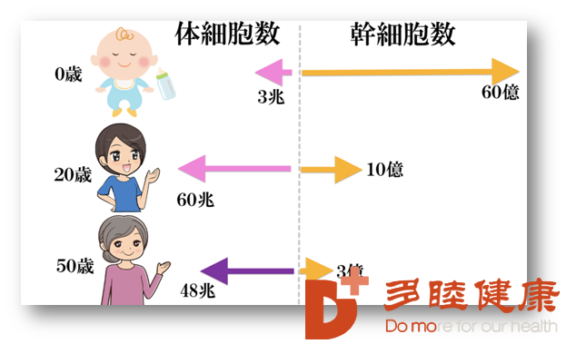 日本干细胞|为什么还要做干细胞治疗?