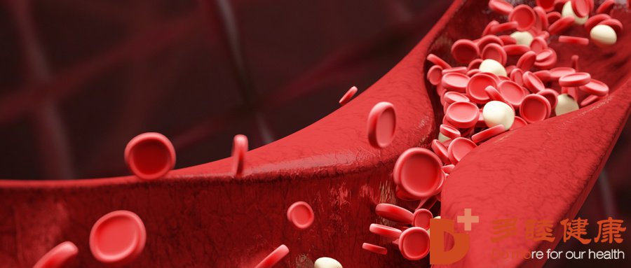 日本血液净化-血管堵塞危害大，血液净化有效预防血管堵塞