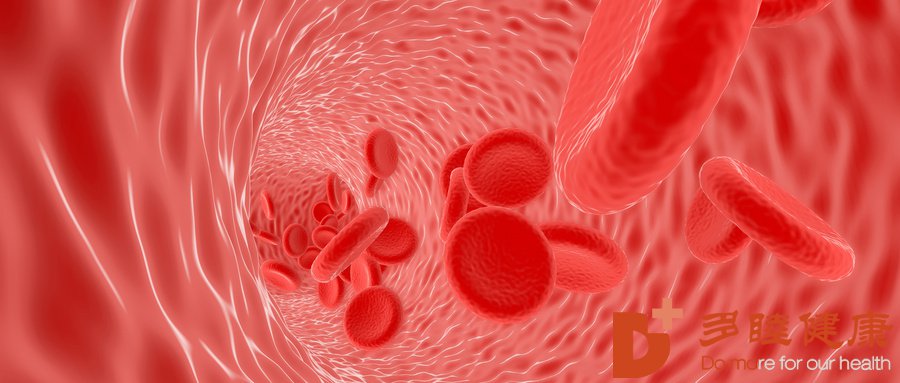 日本血液净化-高脂血症是如何形成的？4大早期症状不可忽视！