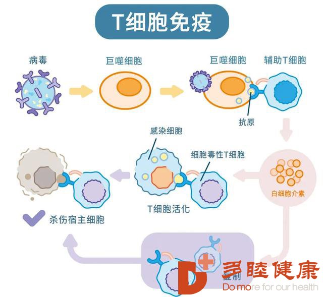 120万一针的天价抗癌药，不是所有人都适合！选对疗法是关键！