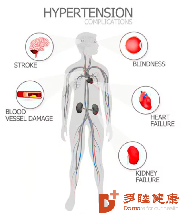 日本干细胞-高血压危害多，探究干细胞如何控制高血压