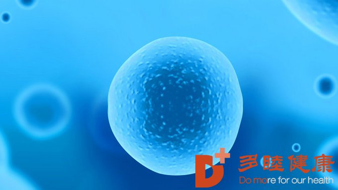 日本干细胞-干细胞治疗手段如何？能在体内存活多久？