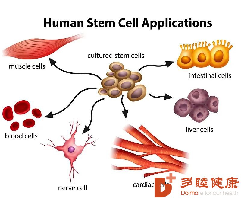 间充质干细胞治疗各种疑难疾病的经典案例