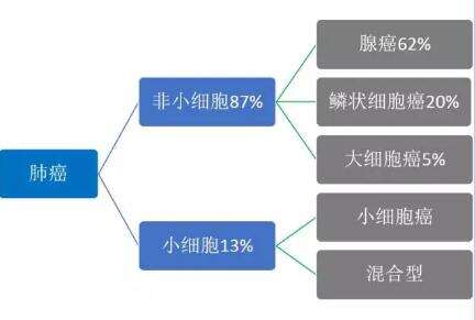 肺癌种类竟然有这么多！你都了解吗？