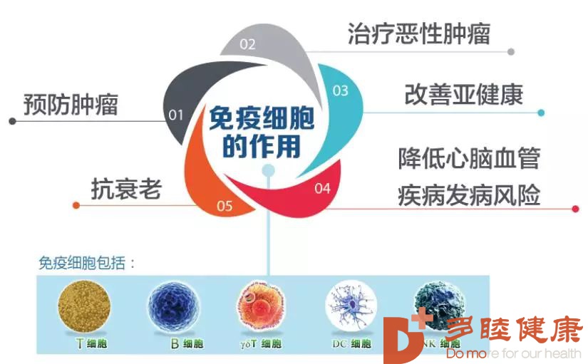 日本干细胞-储存自体免疫细胞，对癌症医疗到底有没有帮助？