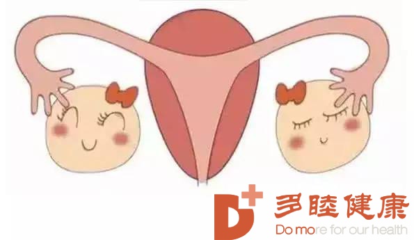 日本干细胞-看不见的女性大敌“卵巢早衰”